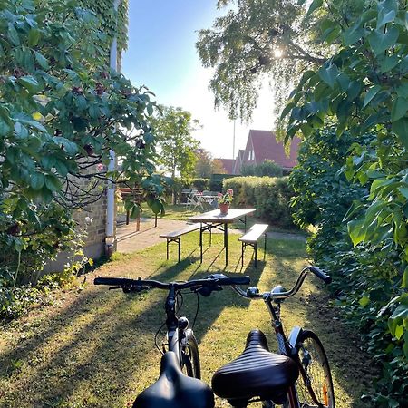 Hemmet Simrishamns Vandrarhem Och B&B Zewnętrze zdjęcie