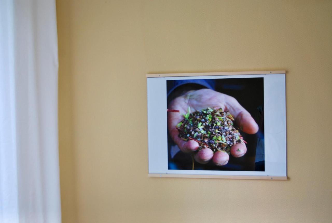 Hemmet Simrishamns Vandrarhem Och B&B Zewnętrze zdjęcie